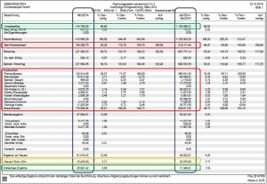 betriebswirtschaftliche Auswertung (BWA)